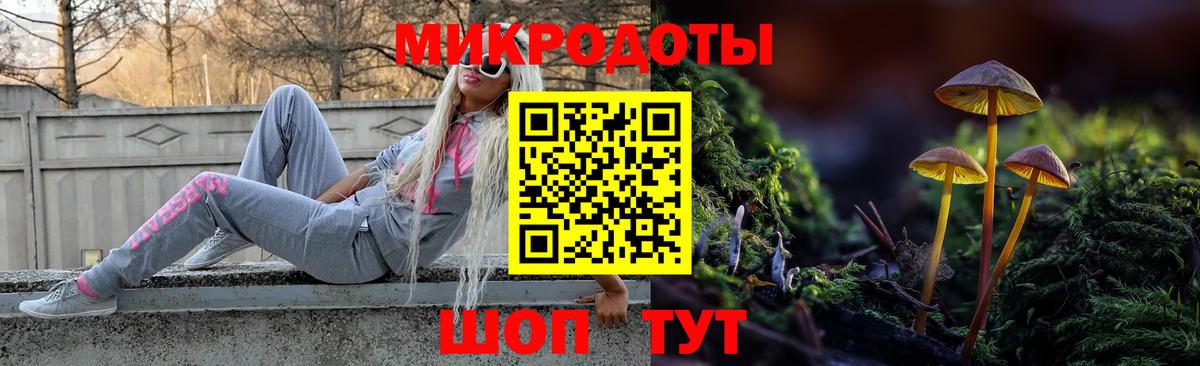 Псилоцибиновые грибы GOLDEN TEACHER  Вход с VPN  Переславль-Залесский  Галлюциногенные грибы Psilocybe 